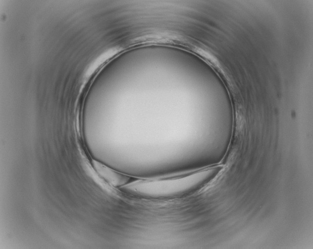 X0000062901034200602031827