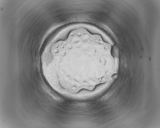 X0000062901035200602031827