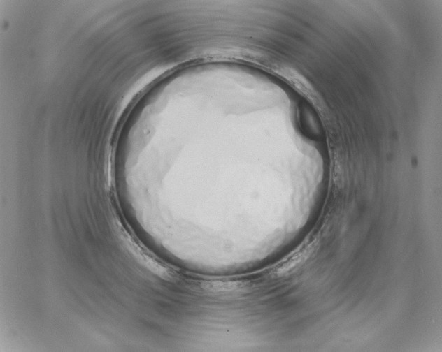 X0000062901036200602031827