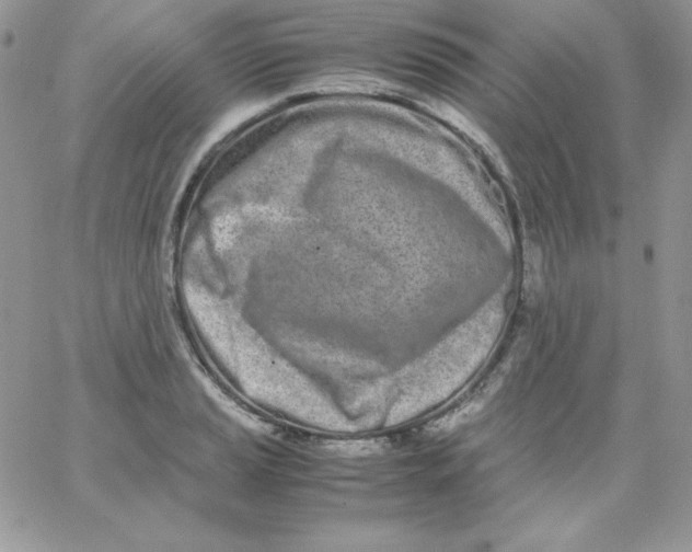 X0000062901037200602031827