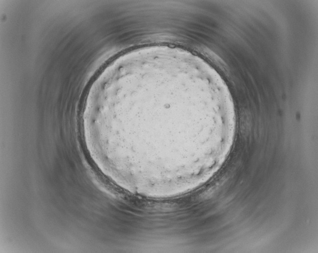 X0000062901039200602031827