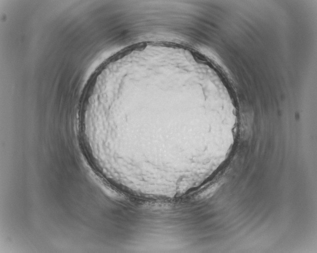 X0000062901040200602031827