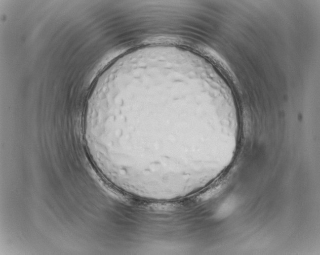 X0000062901041200602031827