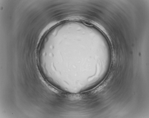 X0000062901045200602031827