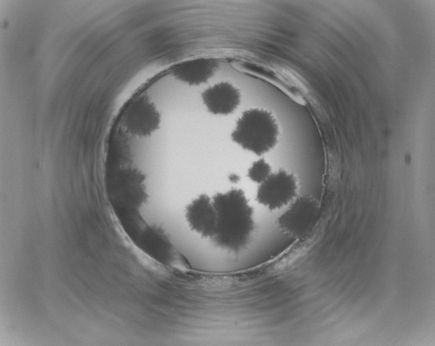 X0000062901046200602031827