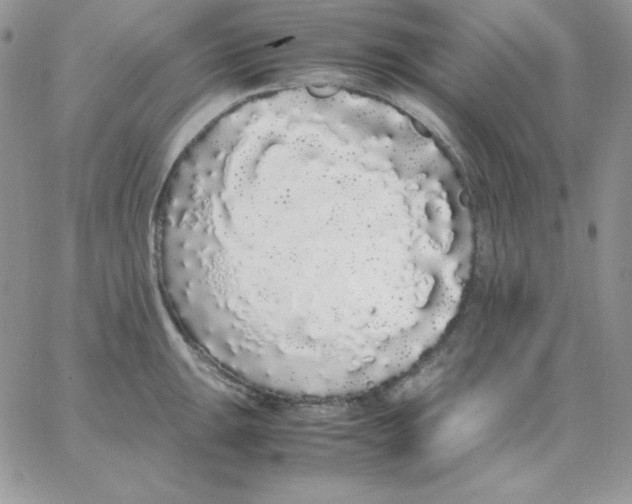 X0000062901047200602031827