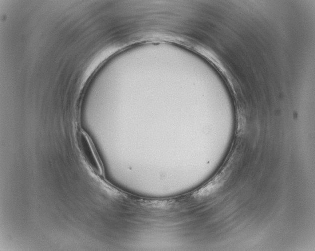 X0000062901048200602031827