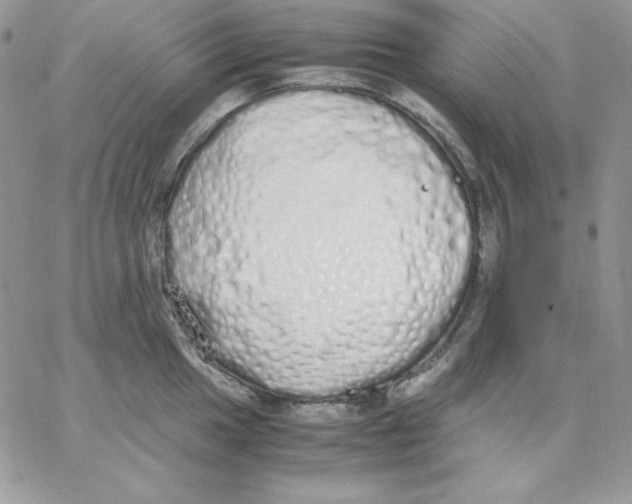 X0000062901049200602031827