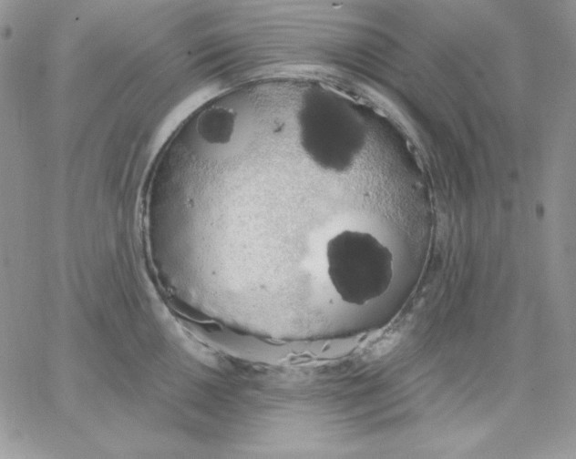 X0000062901050200602031827