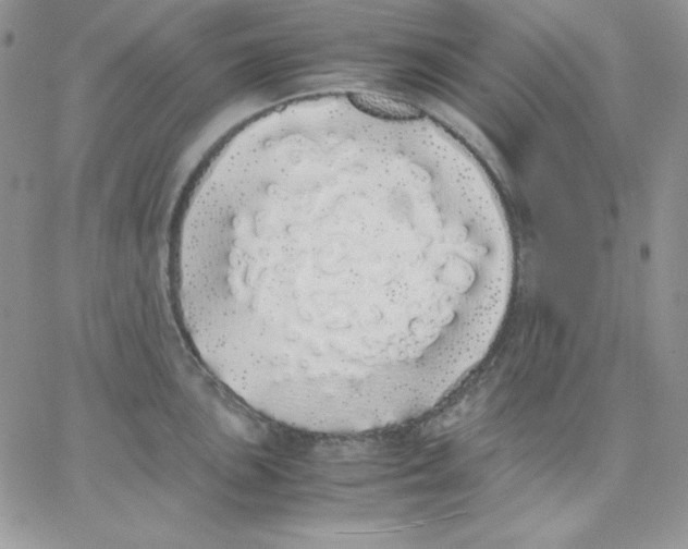 X0000062901051200602031827