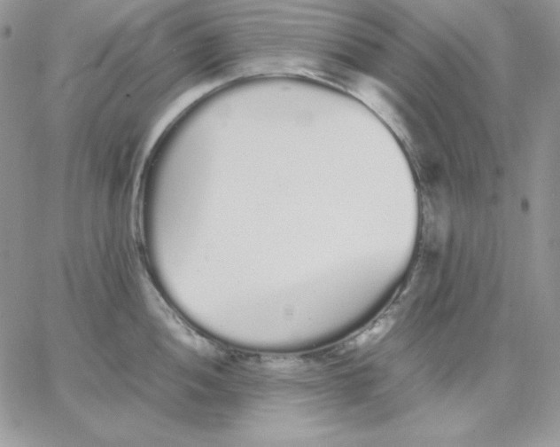 X0000062901052200602031827