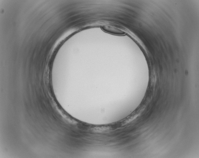 X0000062901053200602031827