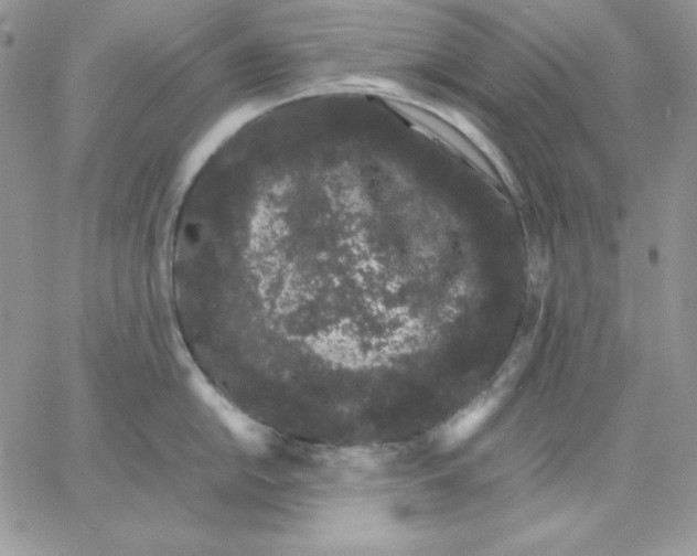 X0000062901054200602031827