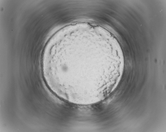 X0000062901055200602031827