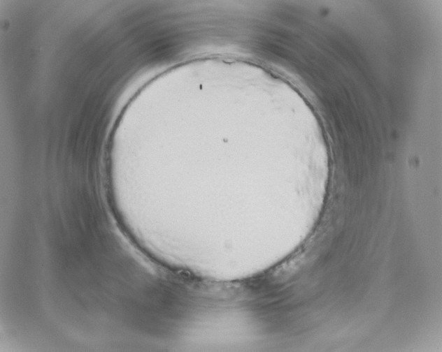 X0000062901056200602031827