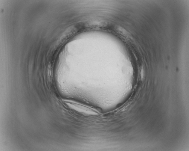 X0000062901059200602031826