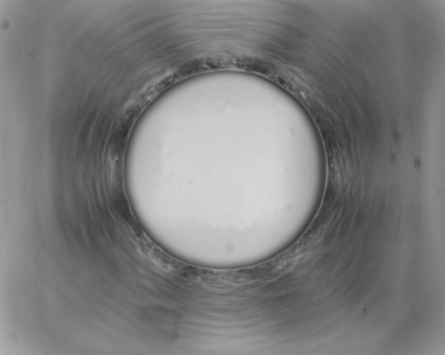 X0000062901060200602031826