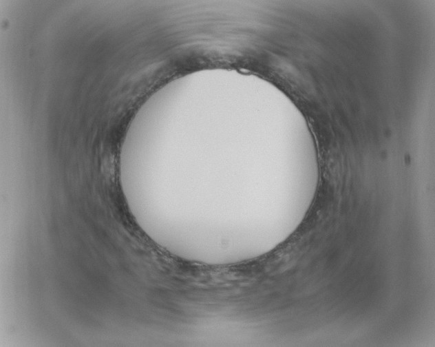 X0000062901061200602031826