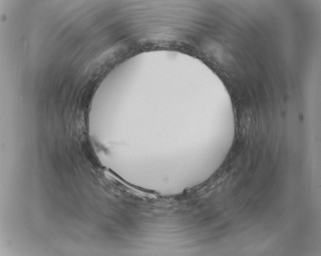 X0000062901062200602031826