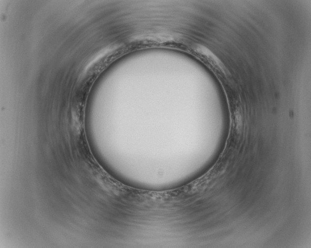 X0000062901064200602031826