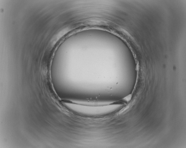 X0000062901065200602031826