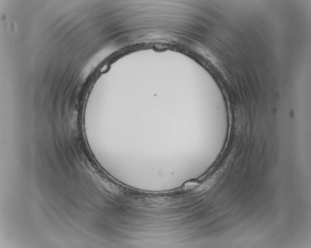 X0000062901066200602031826