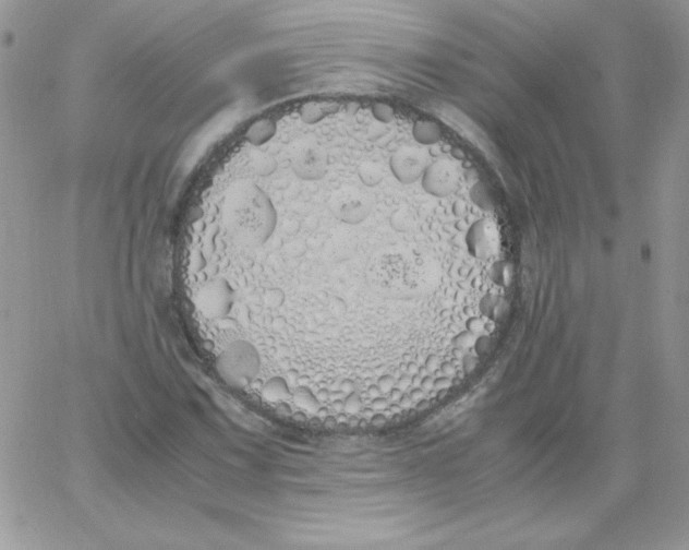 X0000062901067200602031826