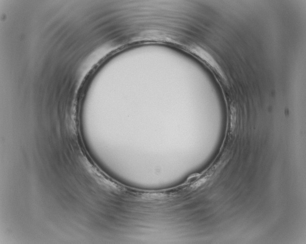 X0000062901068200602031826