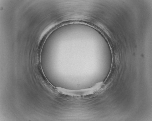 X0000062901069200602031826