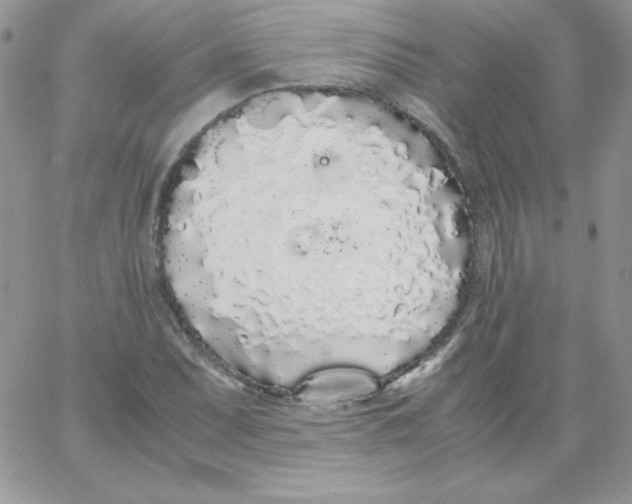 X0000062901071200602031826