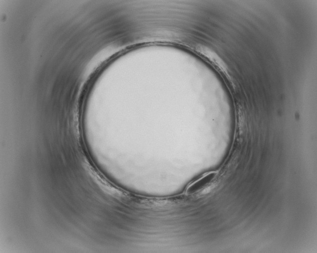 X0000062901072200602031826