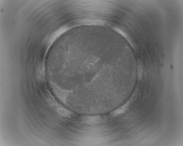 X0000062901074200602031826