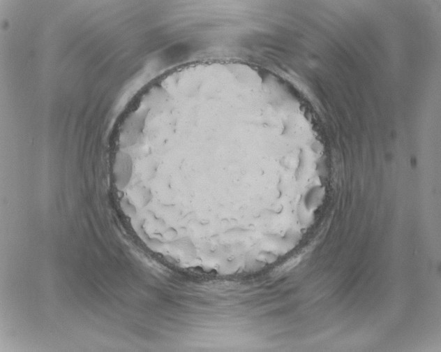 X0000062901075200602031826