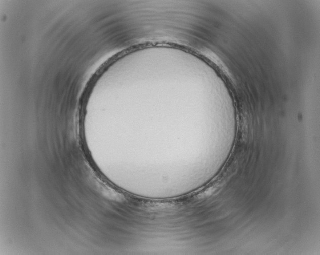 X0000062901076200602031826