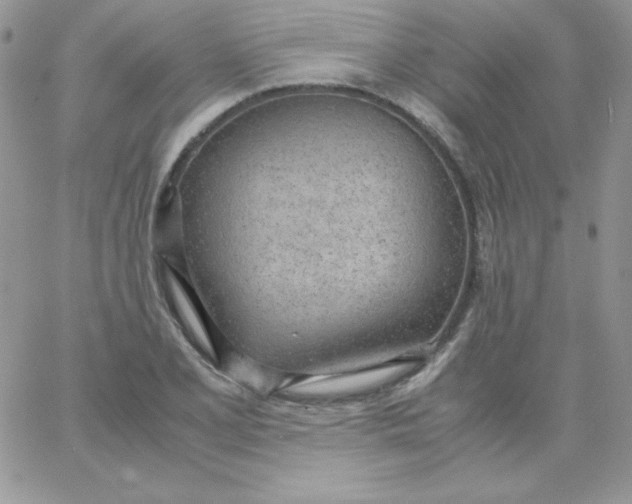 X0000062901077200602031826