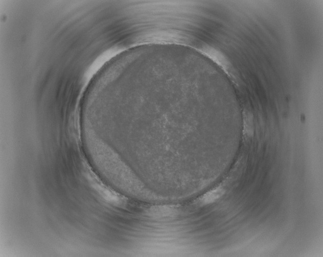 X0000062901078200602031826