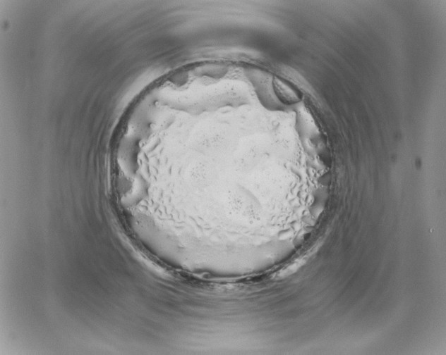 X0000062901079200602031826