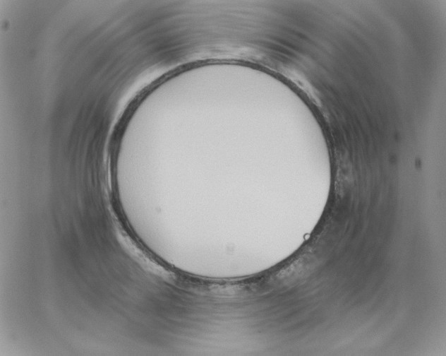 X0000062901080200602031826