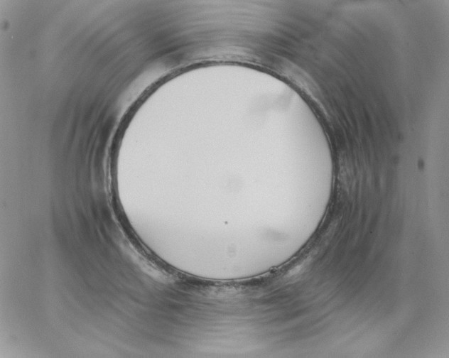 X0000062901082200602031826