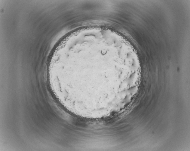 X0000062901083200602031826