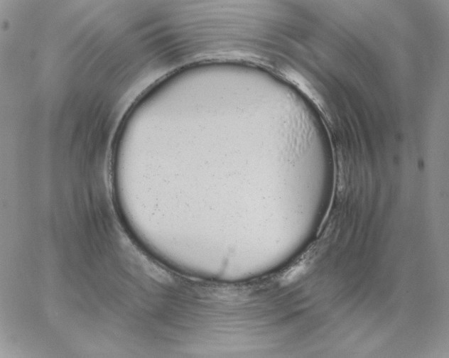 X0000062901084200602031826