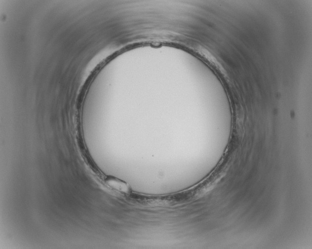 X0000062901085200602031826