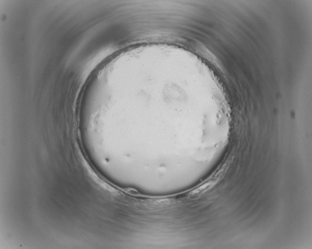 X0000062901087200602031826