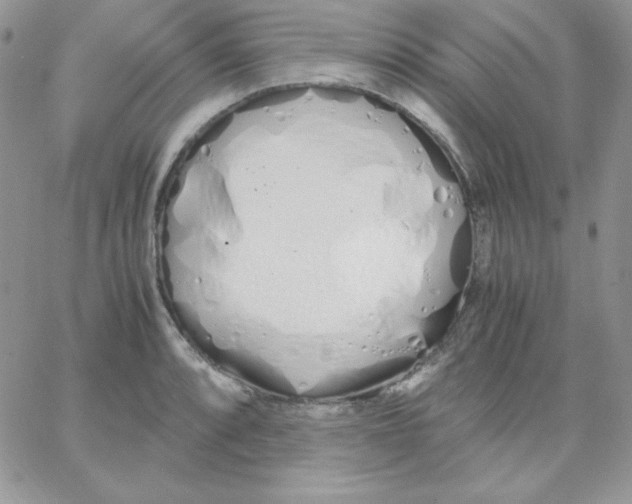 X0000062901088200602031826