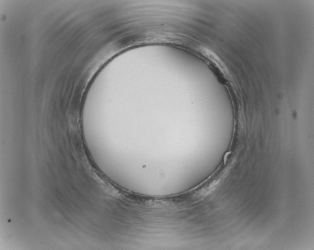 X0000062901089200602031826