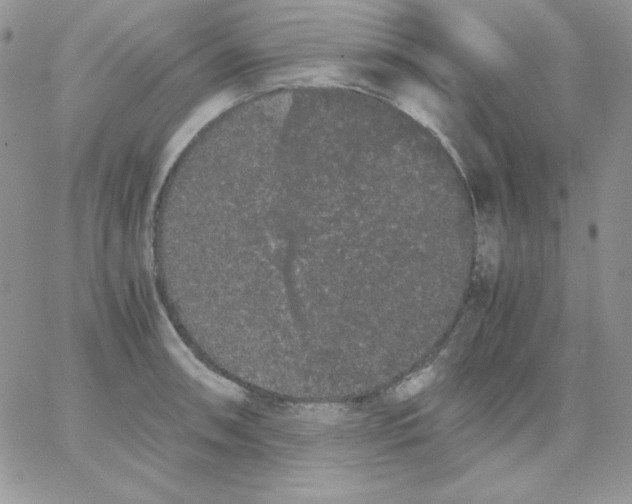 X0000062901090200602031826