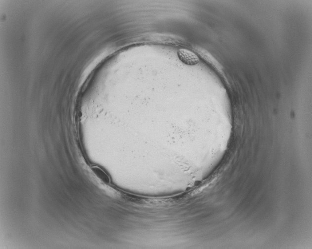 X0000062901091200602031826