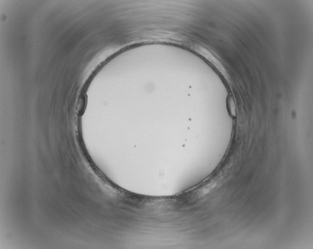 X0000062901093200602031826