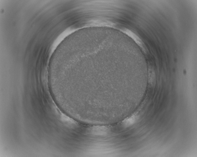 X0000062901094200602031826