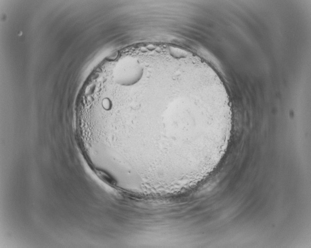 X0000062901095200602031826